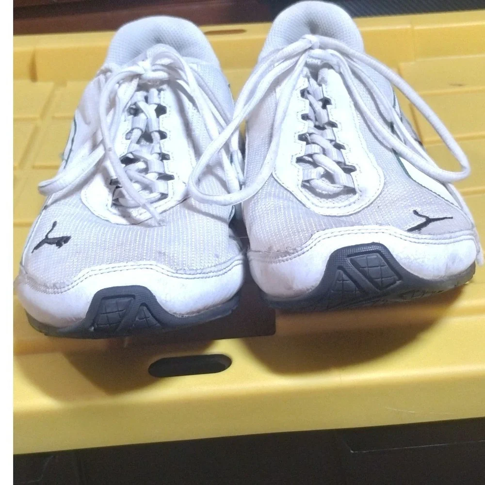 Puma brand model